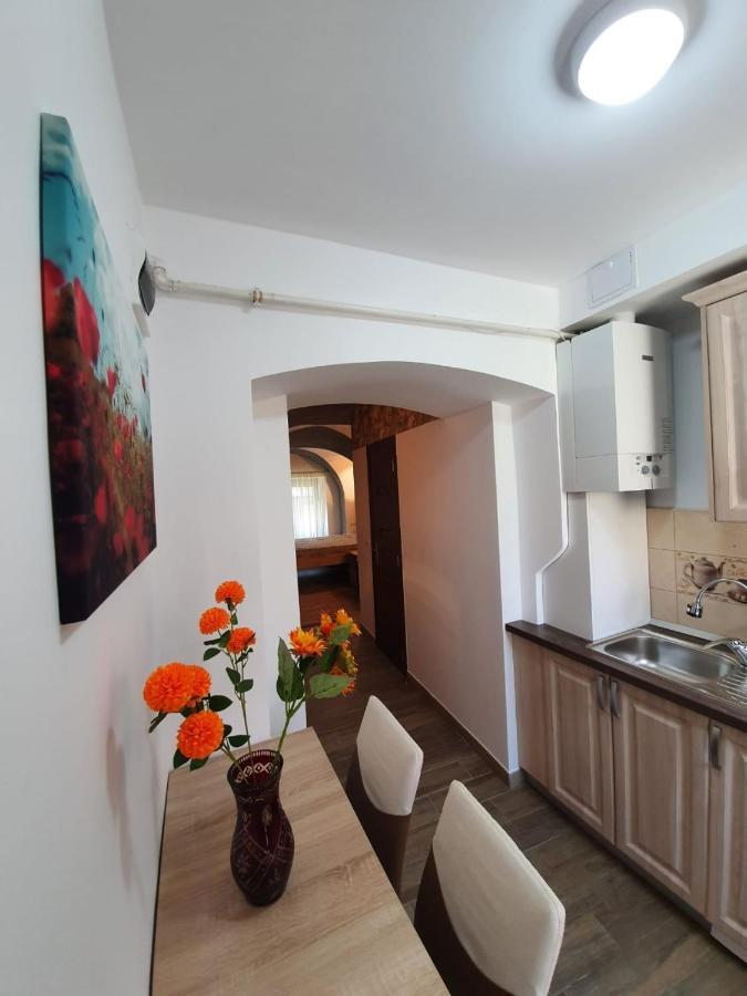 Radu Apartament Apartment Sibiu Bagian luar foto